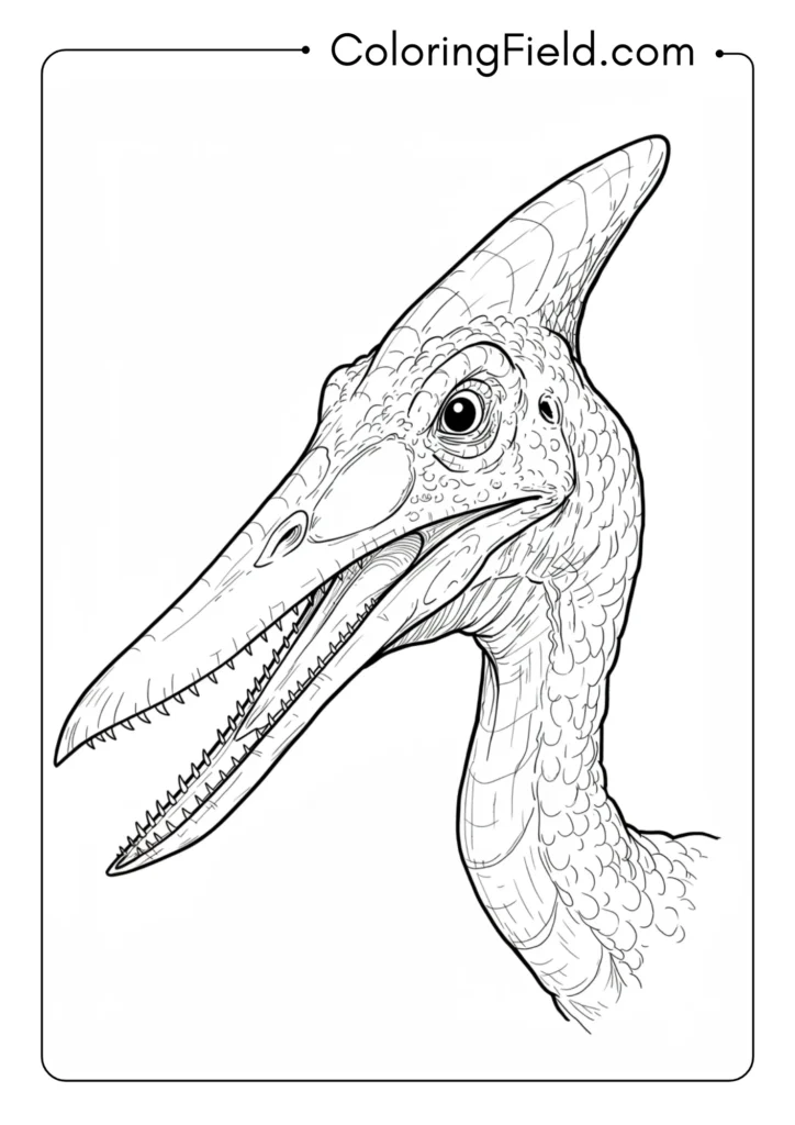 Close-up of Pterodactyl head and neck