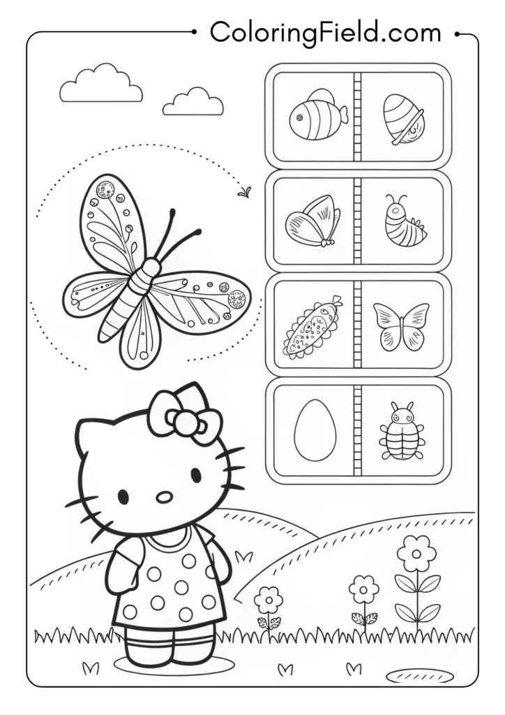 Hello Kitty observing a butterfly metamorphosis with detailed life cycle stages