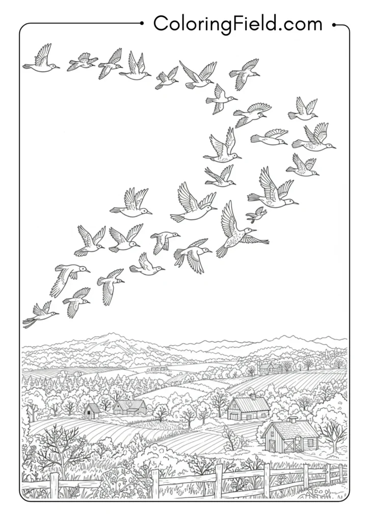 Migrating Birds Formation