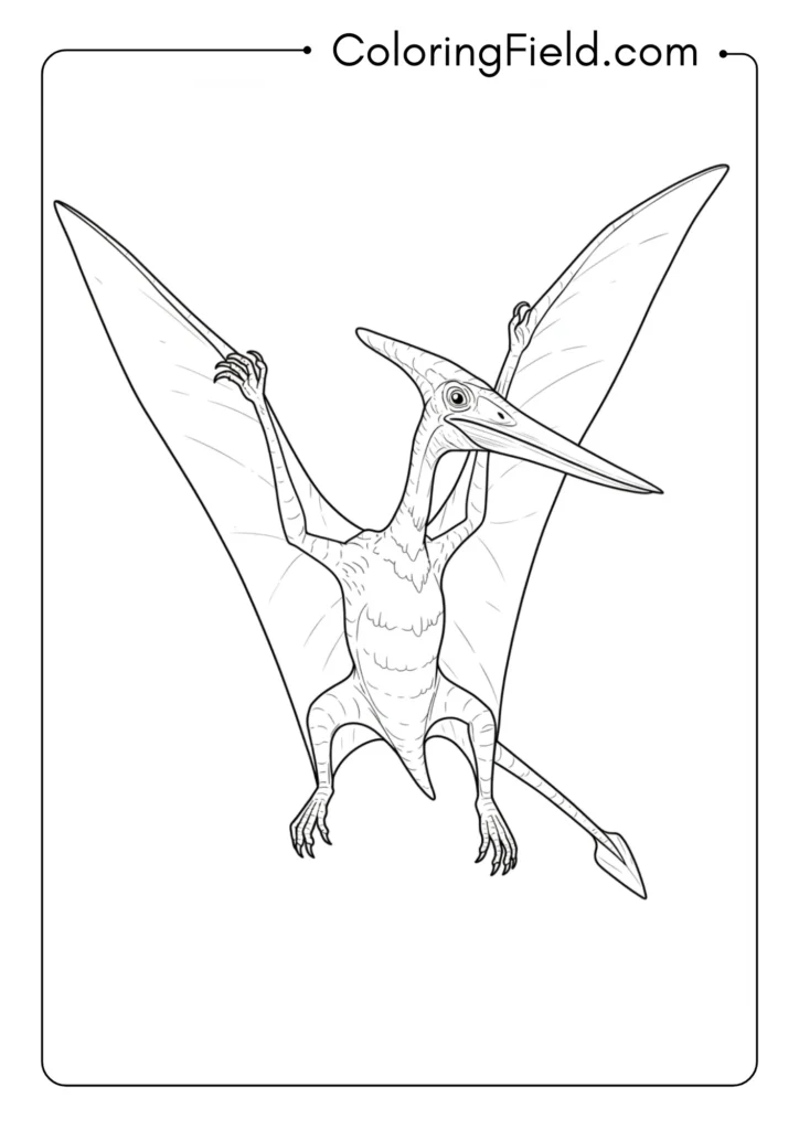 Pterodactyl in landing pose with wings spread for deceleration
