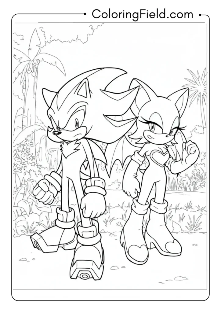 Shadow and Rouge the Bat, team-up pose