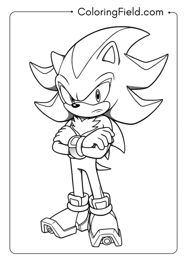 Shadow the Hedgehog with arms crossed, serious expression