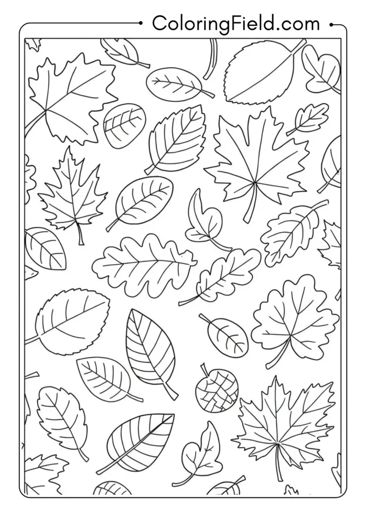 Simple Autumn Leaves Collection