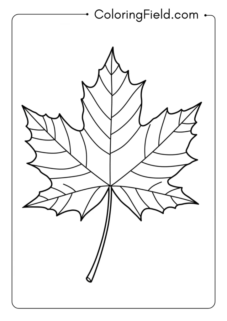 Simple Maple Leaf