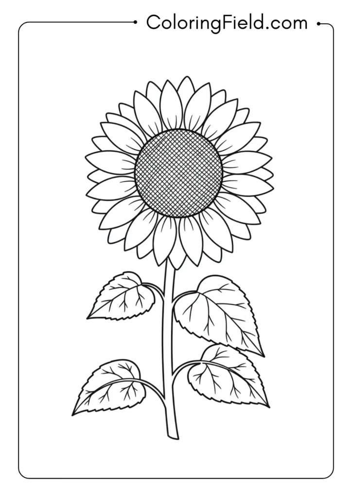 Simple Sunflower