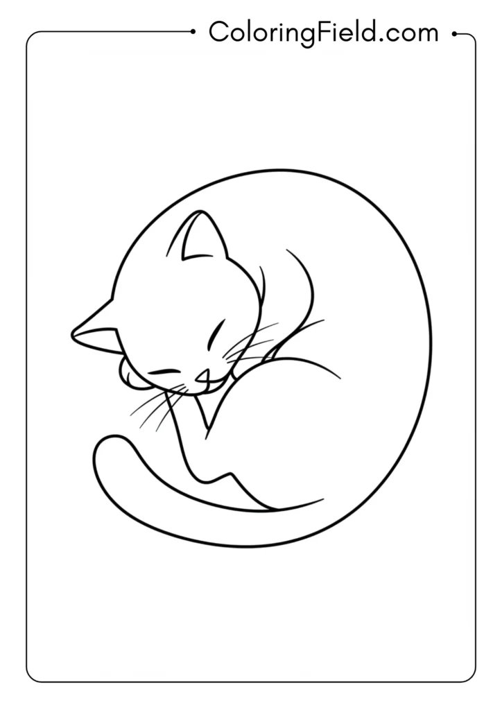 Sleeping Cat Curled Up