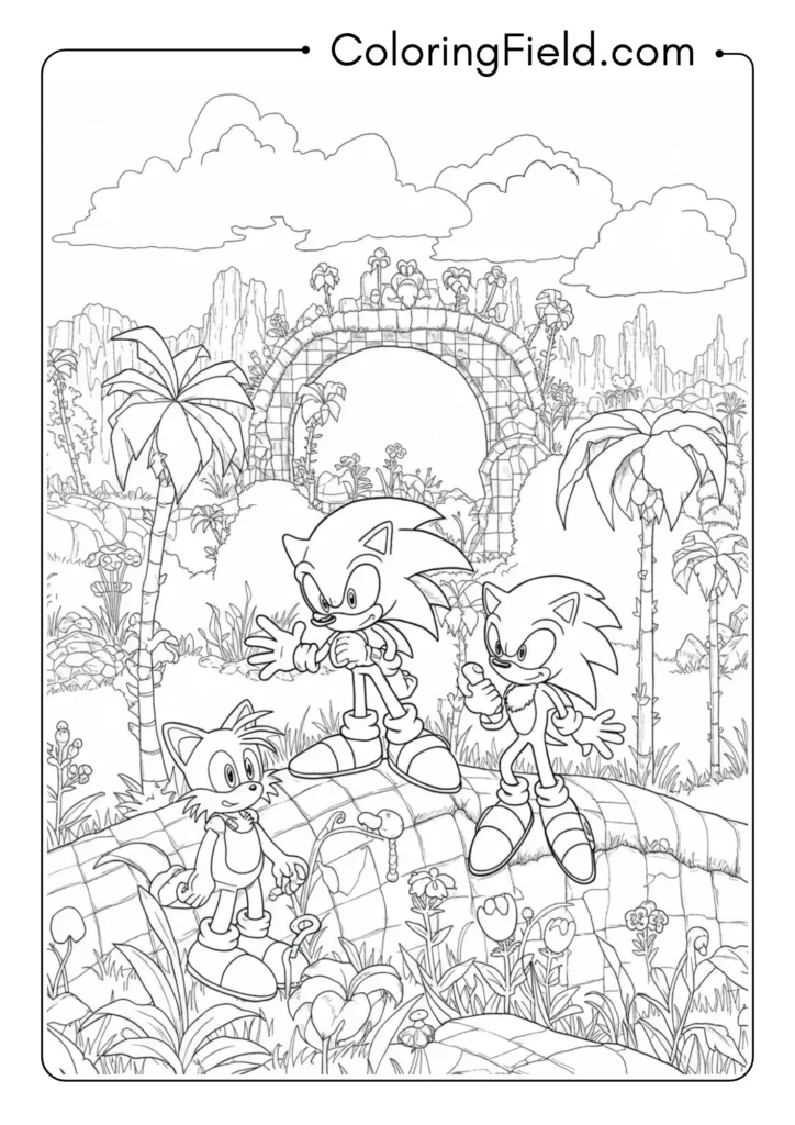 Sonic characters in Green Hill Zone, environmental scene