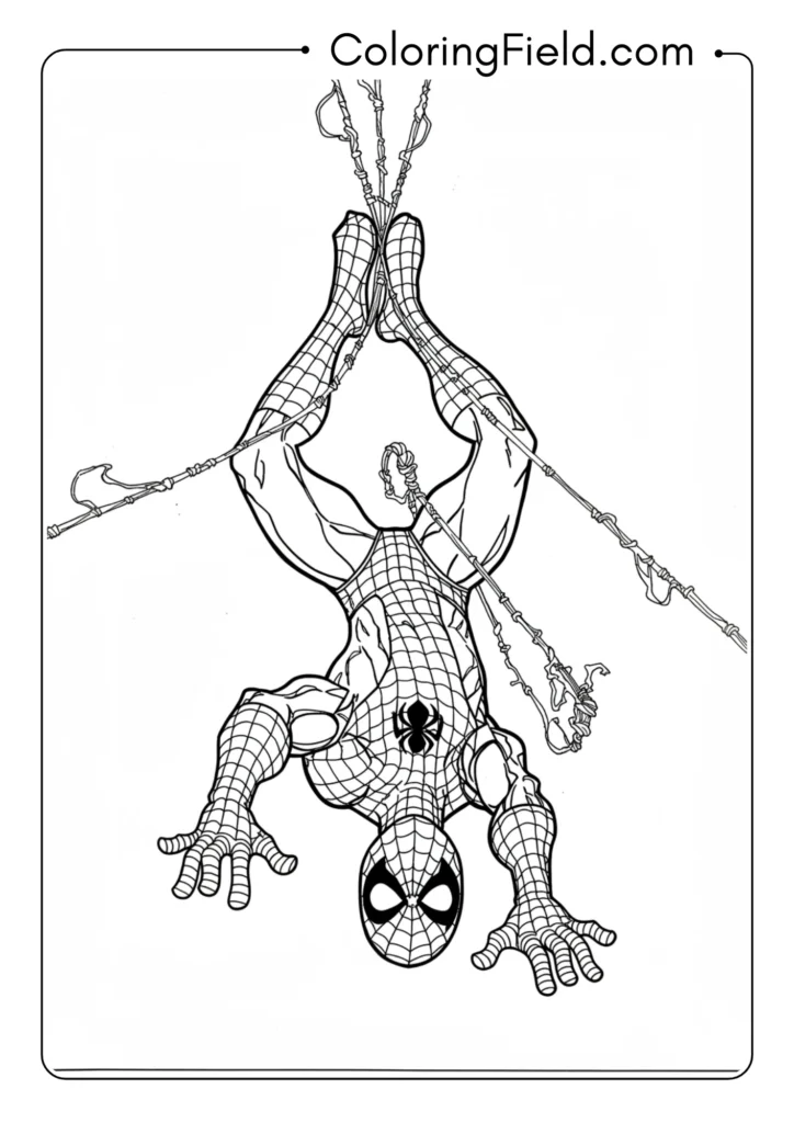 Spider-Man hanging from multiple web strands