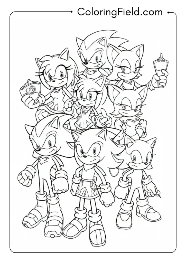 The whole Sonic crew including Amy, Shadow, Rouge, and others, group picture
