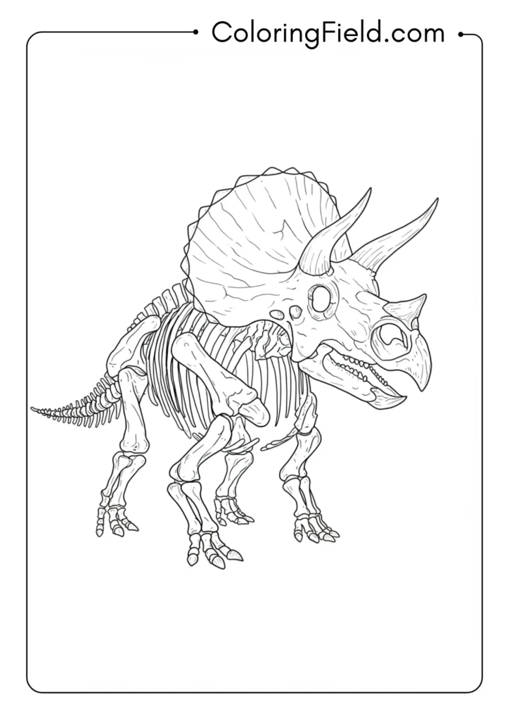 Triceratops skeleton outline