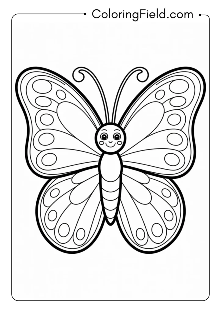 Baby Butterfly