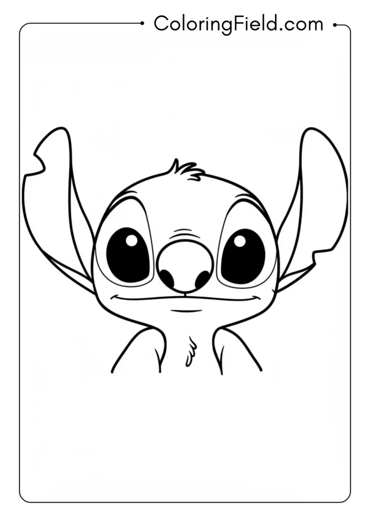 Baby Stitch Face