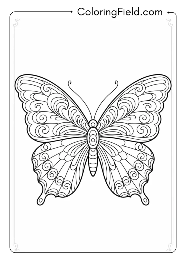 Baroque Butterfly