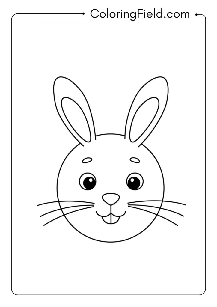 Basic Bunny Face