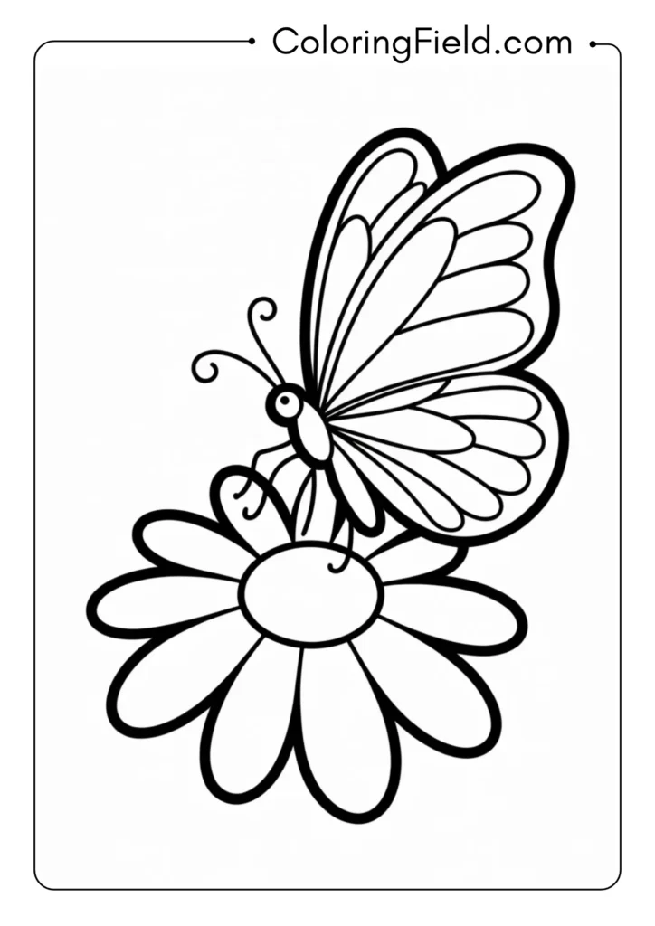 Butterfly on Flower