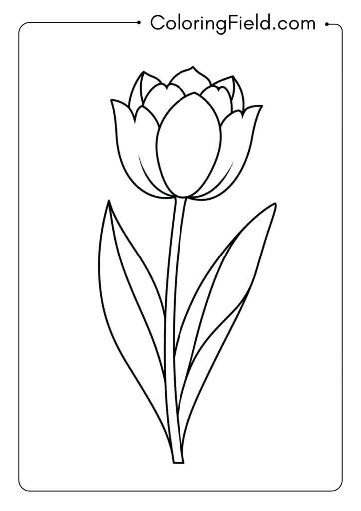 Chunky Tulip