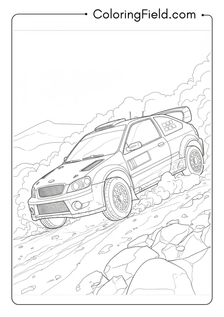 Dirt Rally Car Action