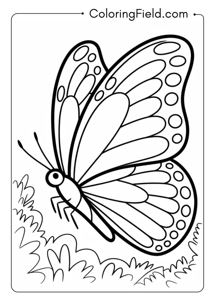 Flying Butterfly Side View