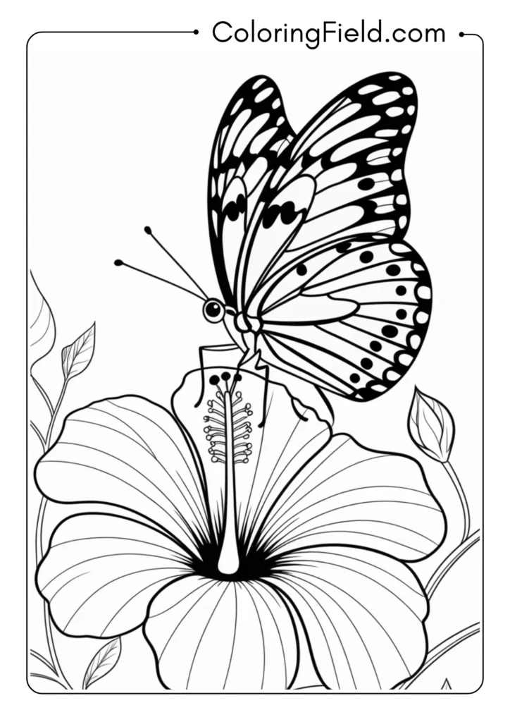 Fritillary Butterfly