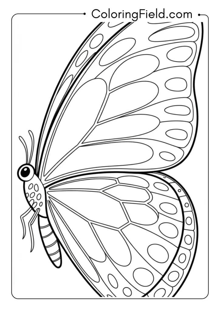 Honeycomb Pattern Butterfly