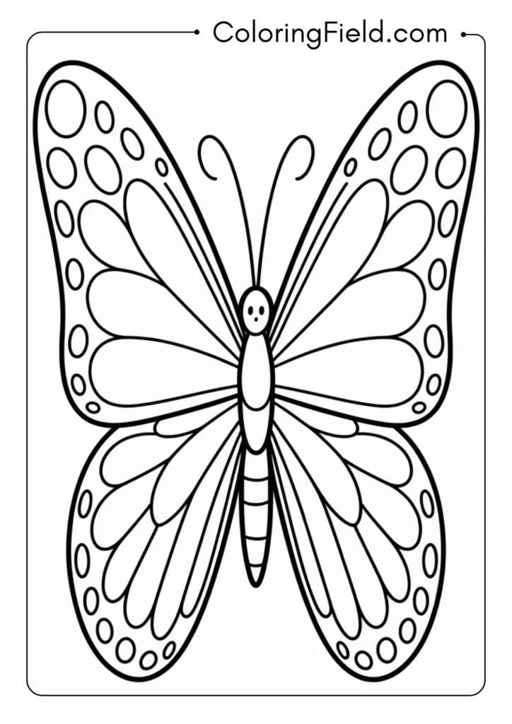 Large Wing Butterfly