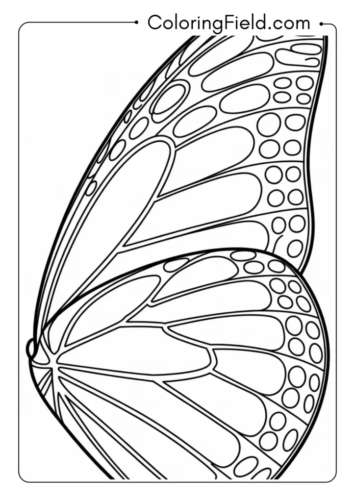 Monarch Wing Close-up