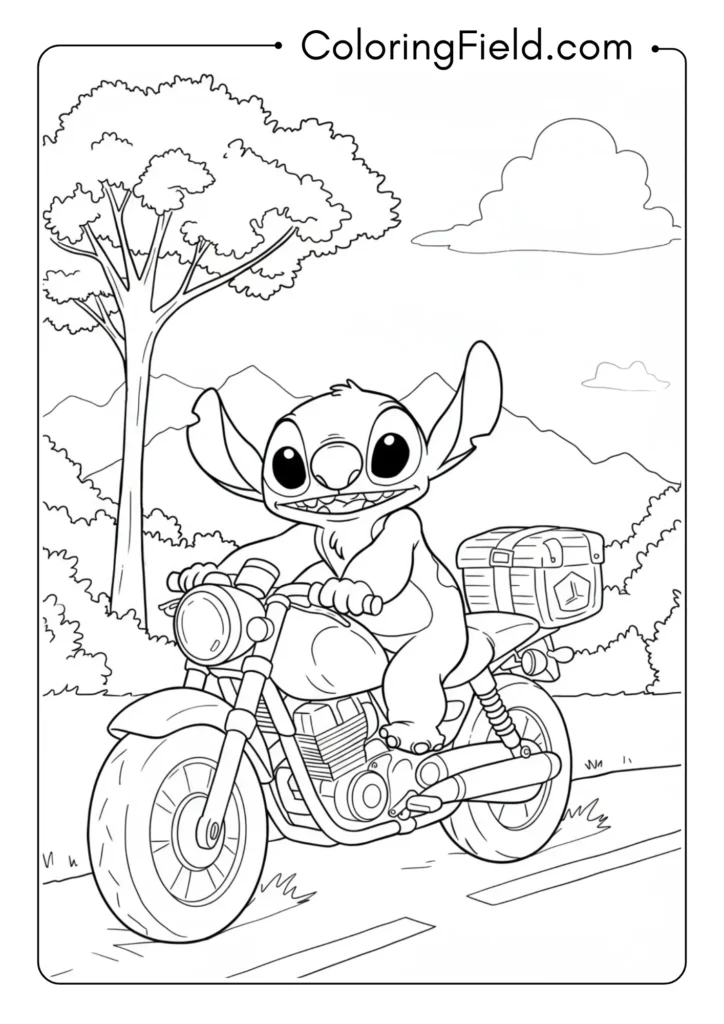 Motorcycle Stitch