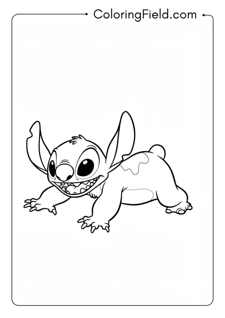 Playful Stitch