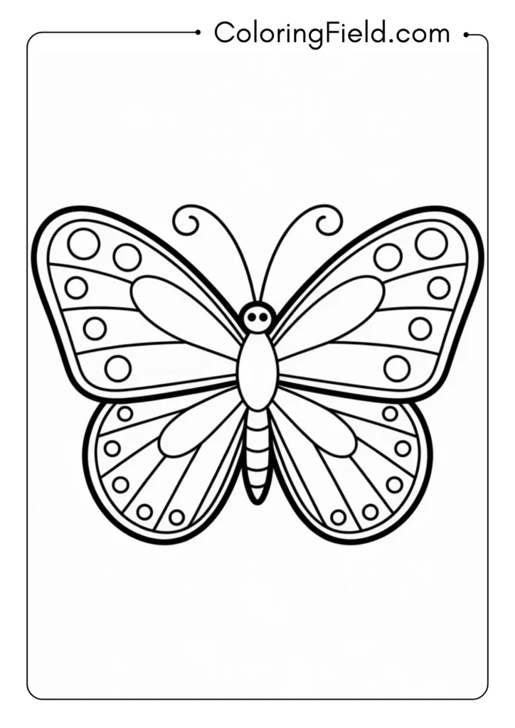 Round Wing Butterfly
