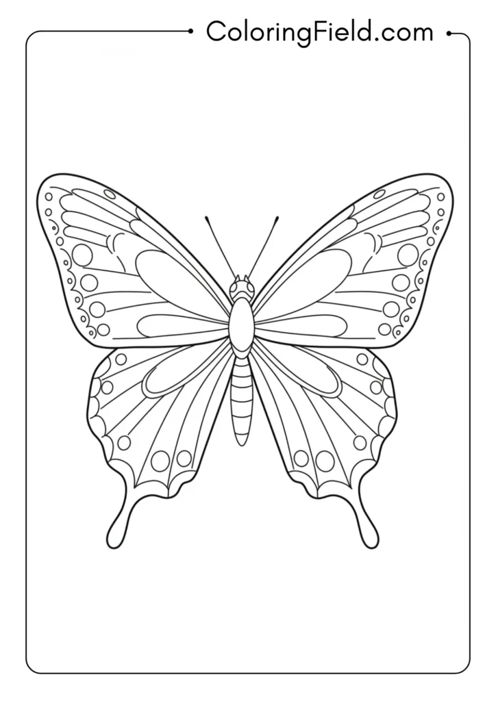 Simple Butterfly