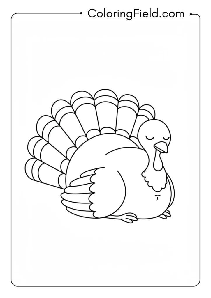 Sleepy Turkey