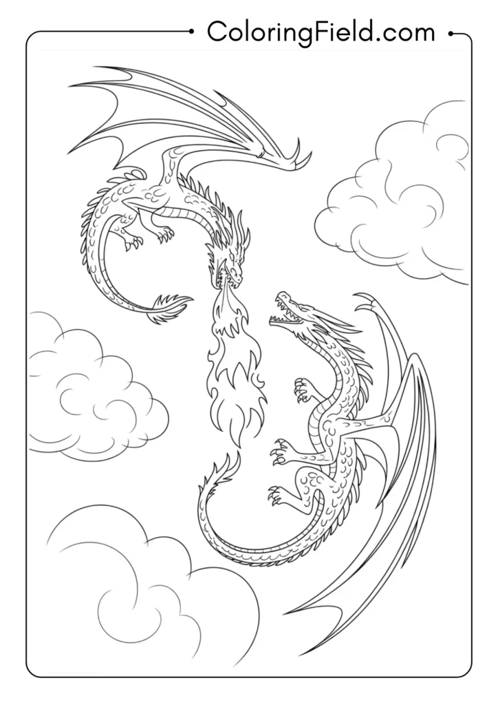 Two Dragons in Aerial Battle