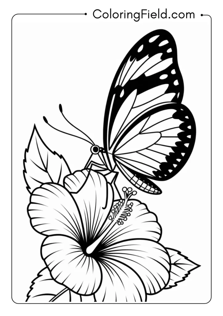 Zebra Longwing Butterfly
