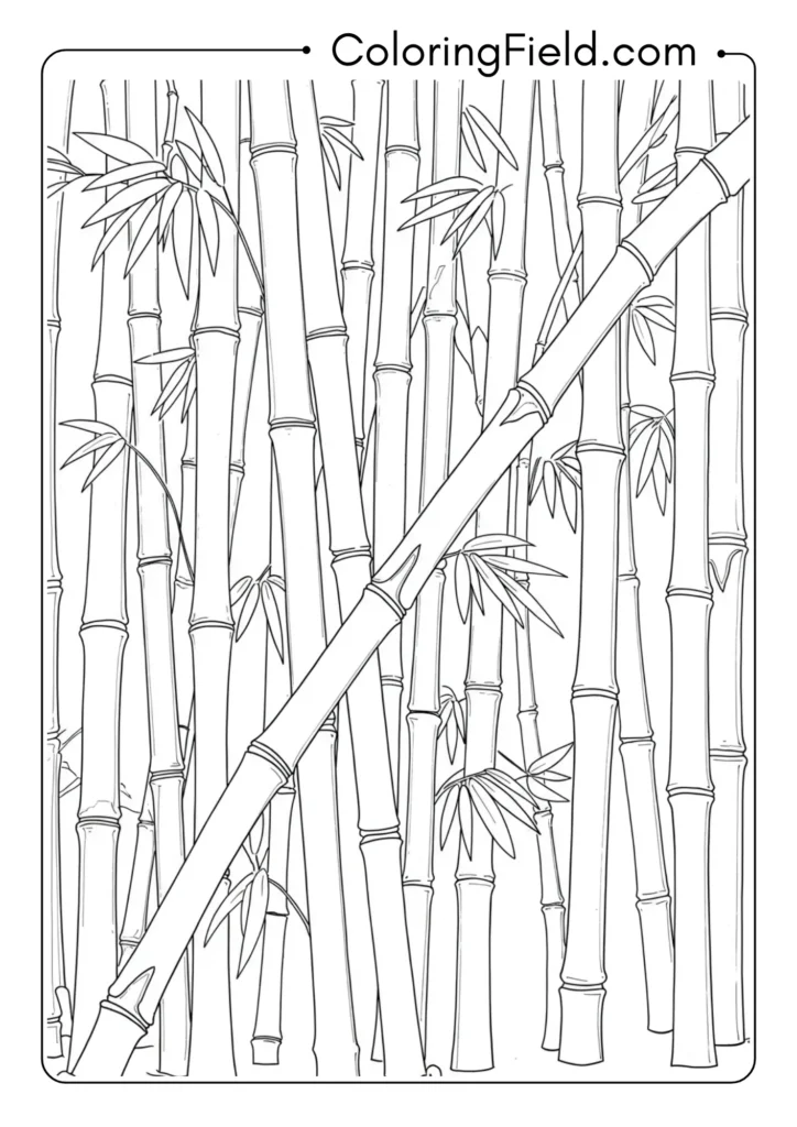 Bamboo stalks coloring page