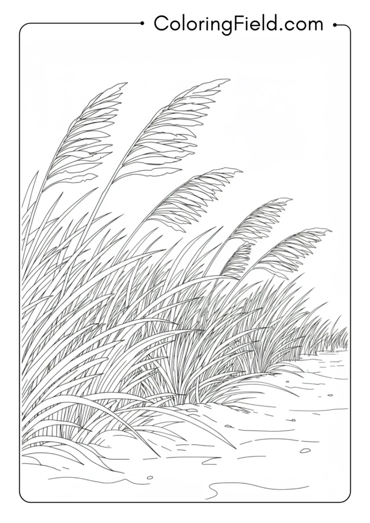 Beach grass swaying coloring page