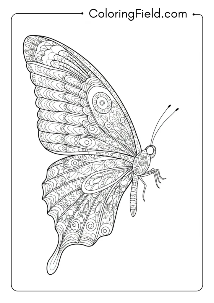 Butterfly with patterns coloring page
