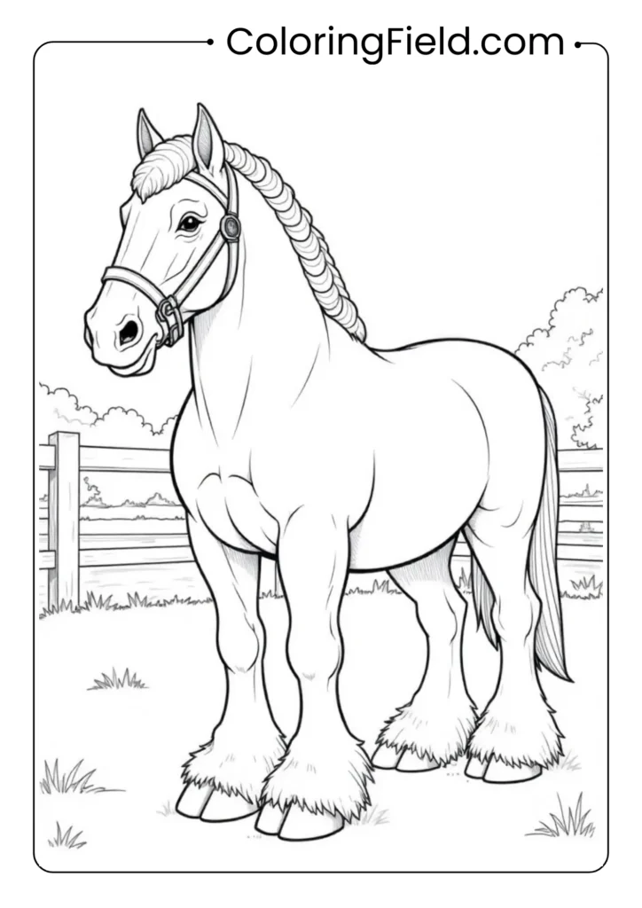 Clydesdale Draft Horse