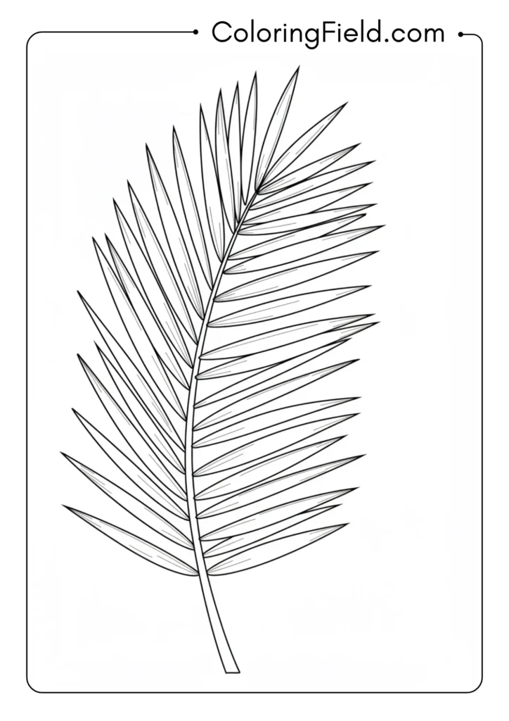 Palm frond leaf coloring page