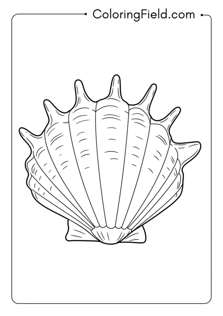 Seashell outline coloring page