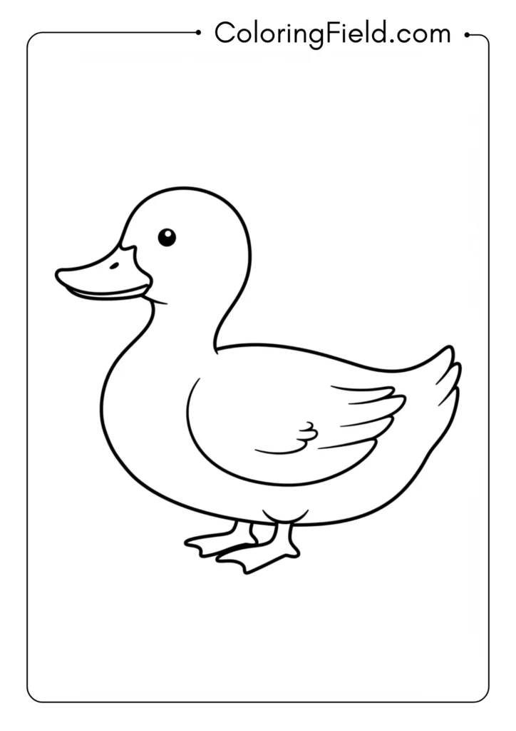 Simple duck outline coloring page
