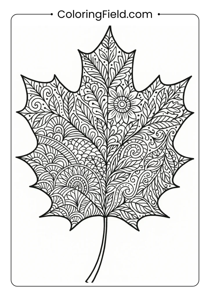 A single, large maple leaf is filled with dozens of unique and intricate zentangle patterns for a mindful coloring session.