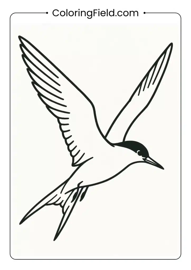 Arctic tern coloring page showing bird in flight with spread wings