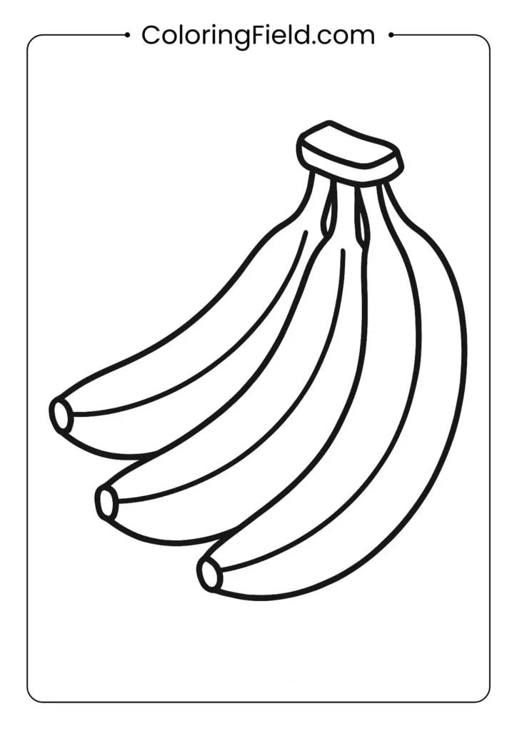 Orange fruit coloring page with textured peel surface and circular shape