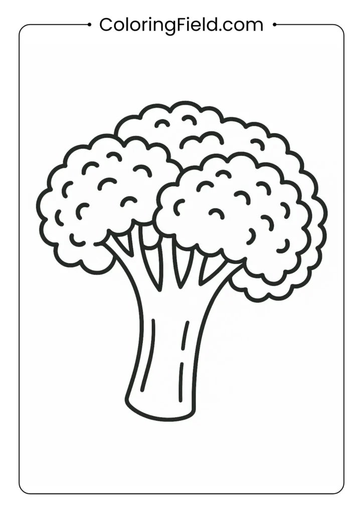Broccoli coloring page with tree-like florets and thick stem