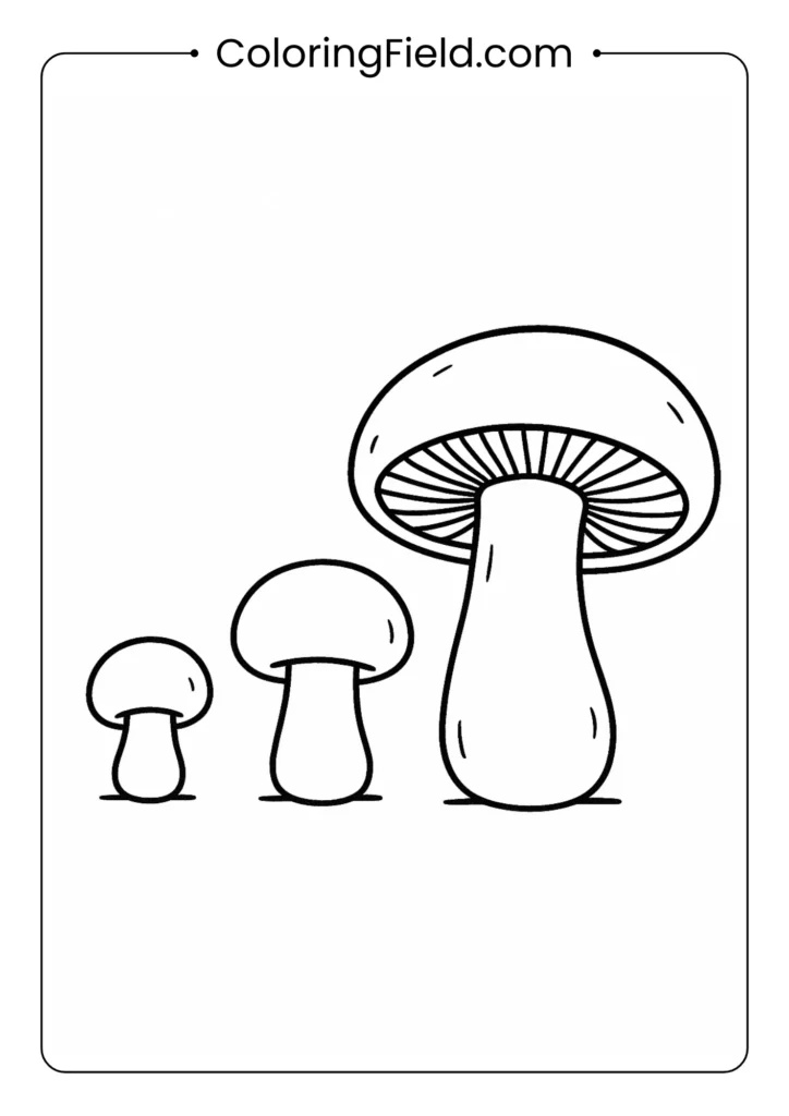 Button mushrooms at different growth stages from small to mature coloring page