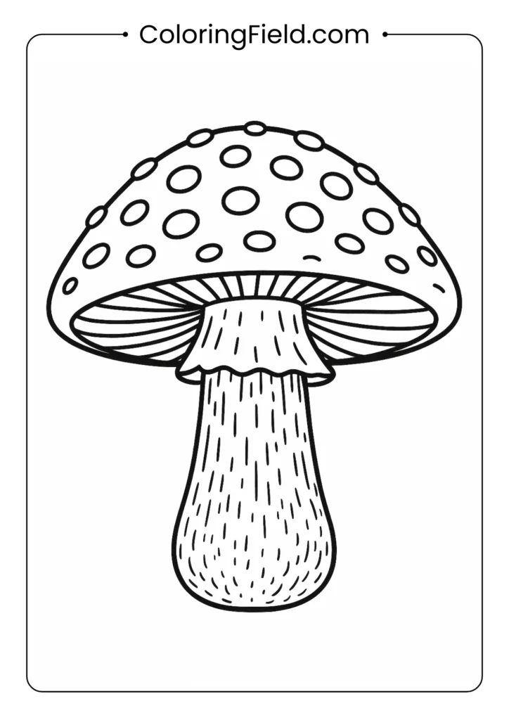 Detailed fly agaric mushroom with spotted red cap coloring page