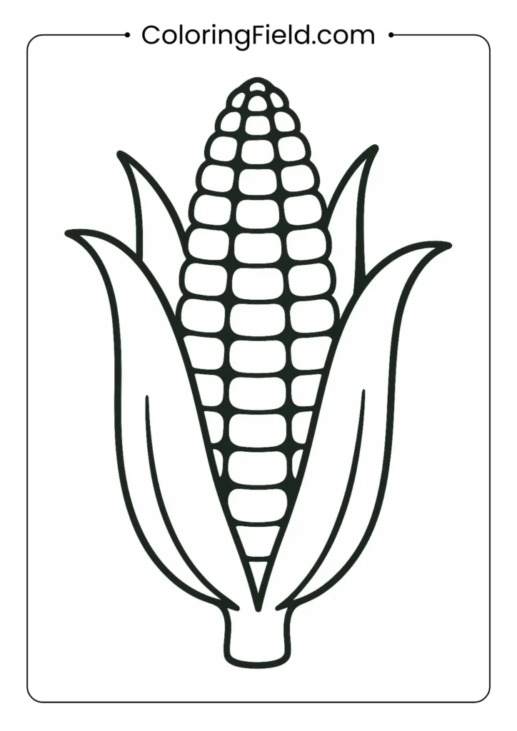 Corn on the cob coloring page with individual kernels and husks