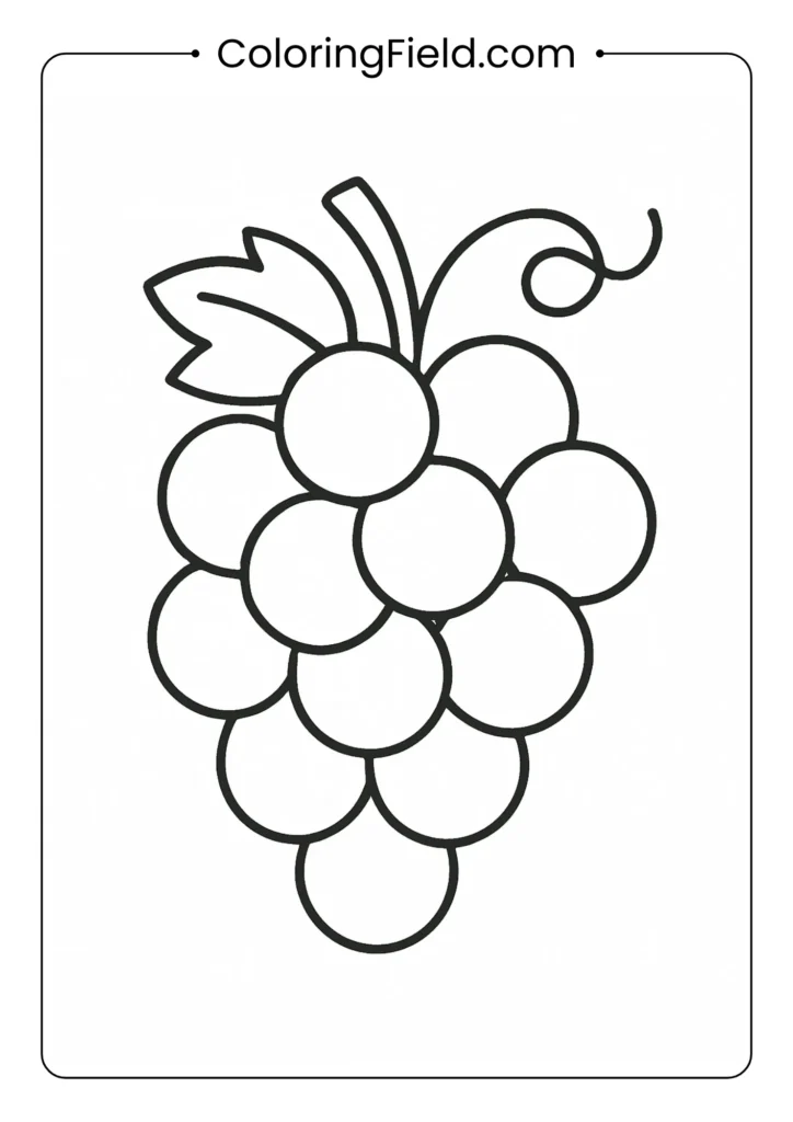 Grape cluster coloring page with individual berries and curly vine