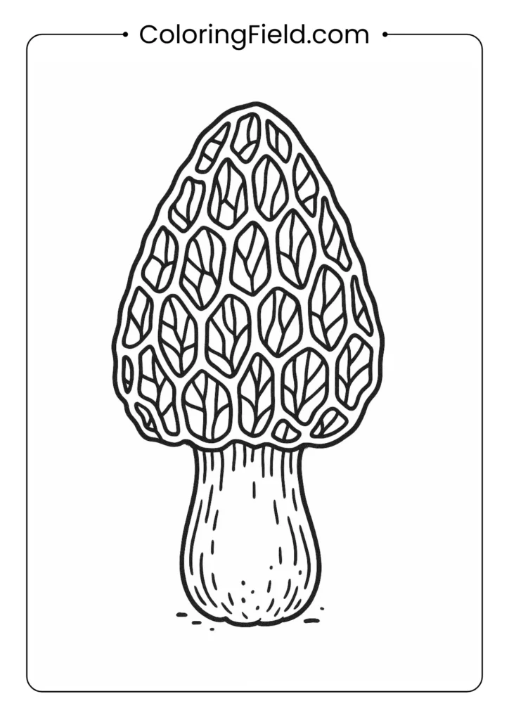 Morel mushroom with honeycomb textured cap coloring page