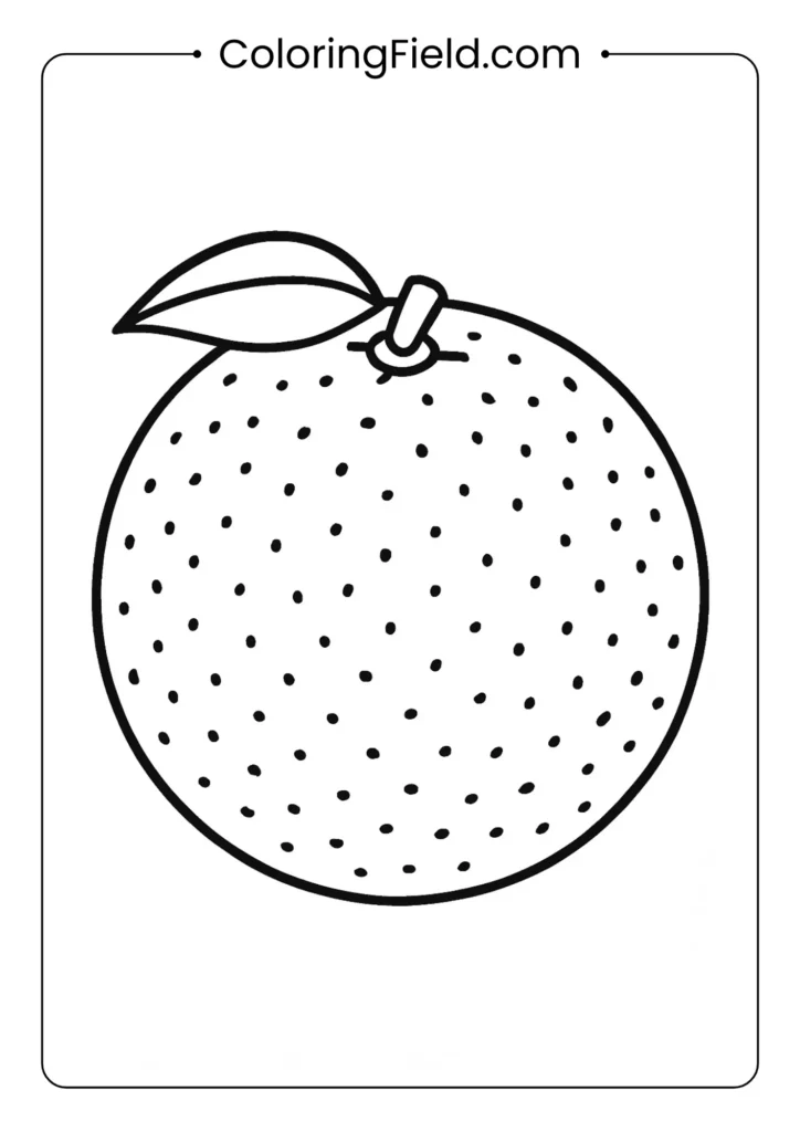 Orange fruit coloring page with textured peel surface and circular shape